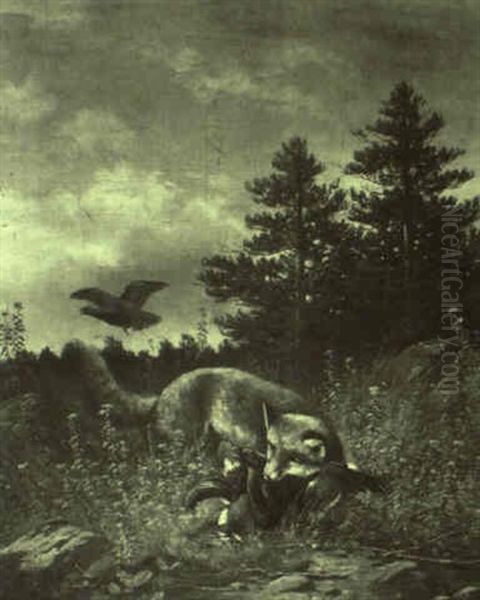 Fuchs Mit Erbeutetem Auerhahn - view 1