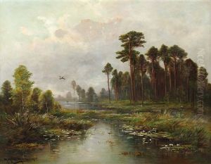 Voralpenlandschaft Mit Fliegendem Wildentenerpel