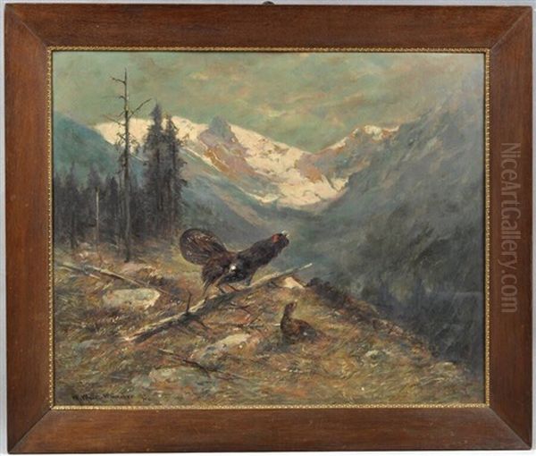 Birkhuhn Und Birkhahn Im Hochgebirge - view 1