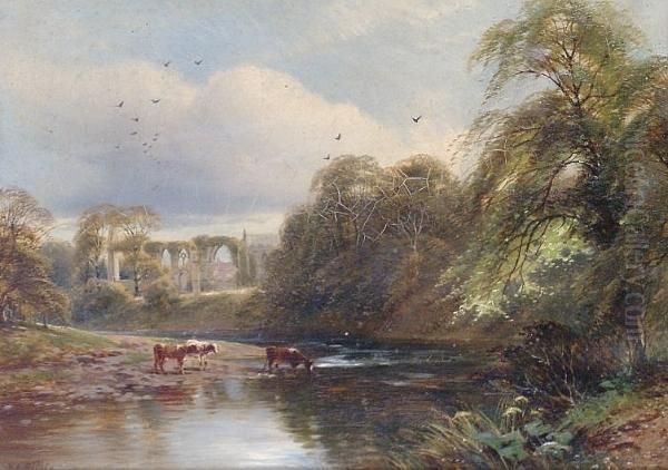 Bolton Abbey, Yorkshire - view 1