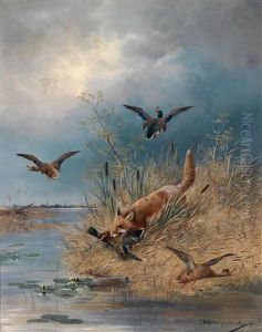 Ein Fuchs Bei Den Wildenten by Moritz Mueller the Younger