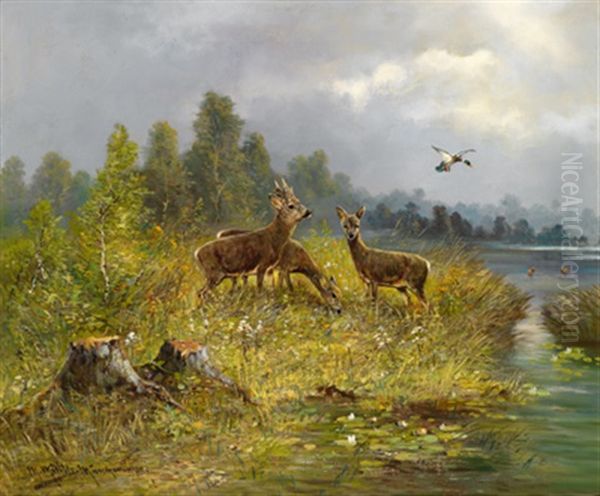 Rehwild Am Seeufer - view 1