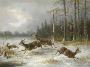 Aufgeschreckt Aufgeschreckt