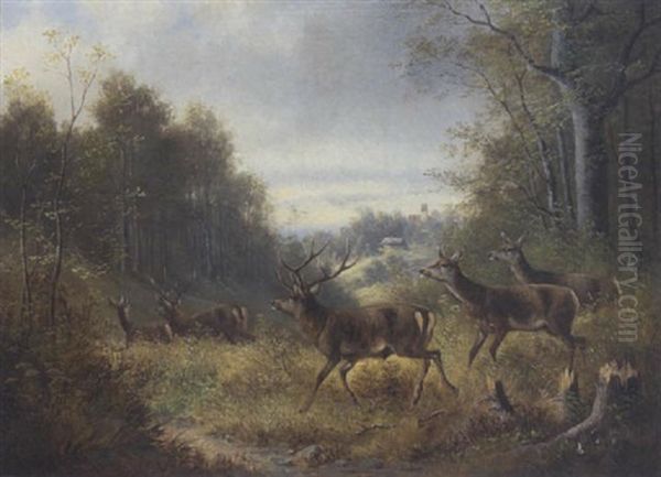 Hirschrudel - view 1