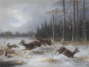 Hase Und Rehe Auf Verschneiter Waldlichtung