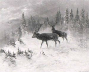 Hirsche Im Winterwald
