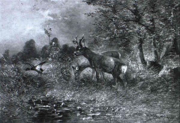 Rehe Und Erpel Im Wiesengrund - view 1