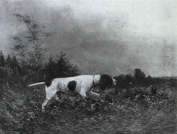 Ein Jagdhund Spurt Ein Rebhuhn Auf - view 1
