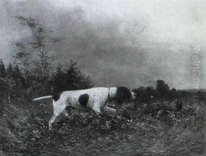 Ein Jagdhund Spurt Ein Rebhuhn Auf