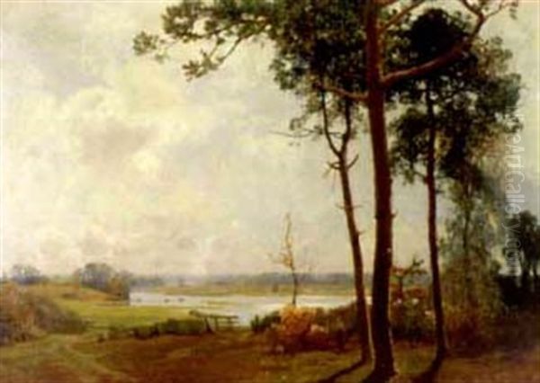 Oldenburger Landschaft - view 1