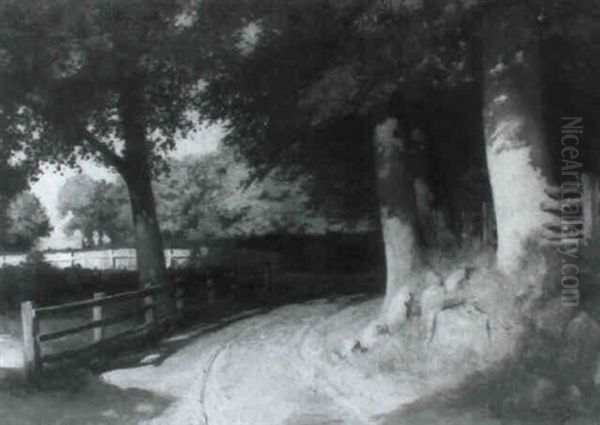 Weg Im Schatten Hoher Baume - view 1