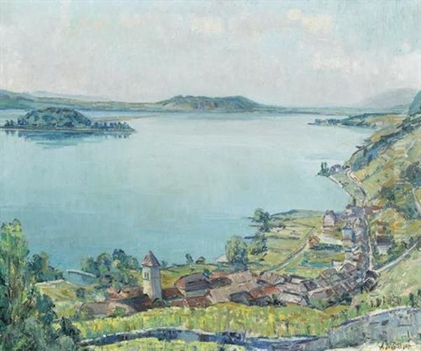 Bielersee Mit Twann Und St. Petersinsel - view 1