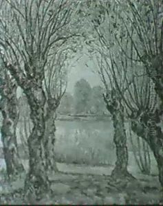 Am Fluss. Weiden Am Flussufer by Alfons Muller