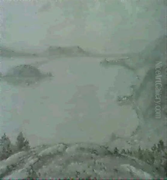 Blick Auf Den Bielersee Und Die Petersinsel - view 1