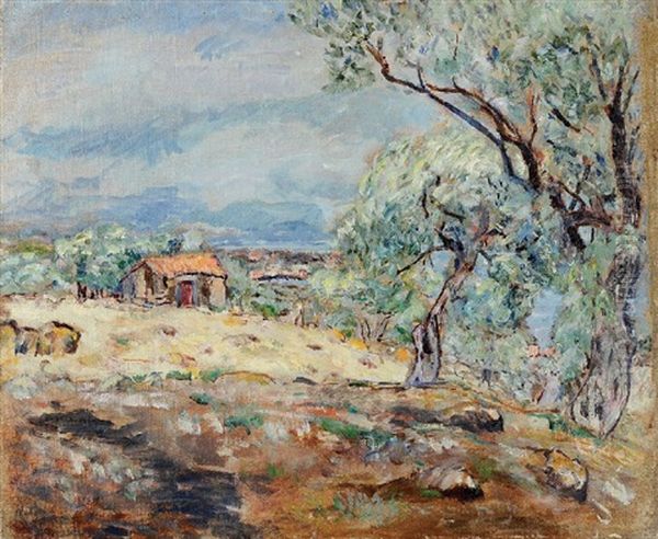 Paesaggio - view 1