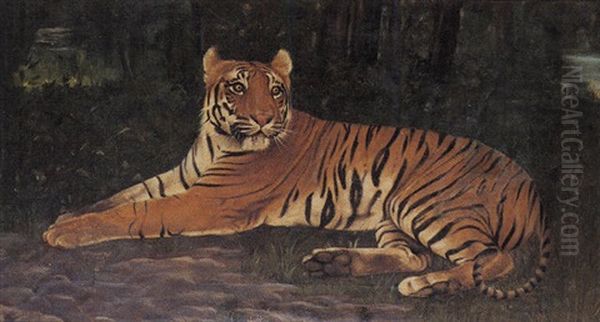 Tiger - view 1