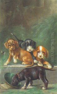 Spielende Hundewelpen