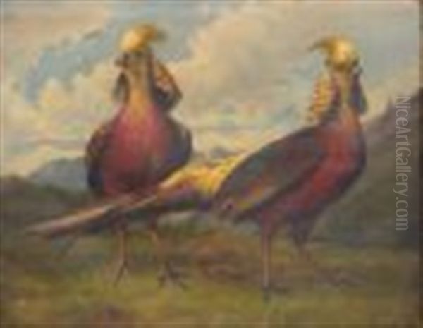 Two Pheasants - view 1