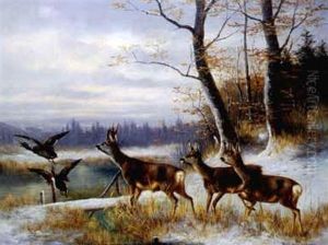 Rehe Und Enten Vor Waldlichtung Rehe Und Enten Vor Waldlichtung