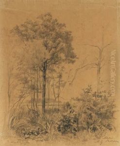 Trees By A Field by Albertus Gerardus Bilders