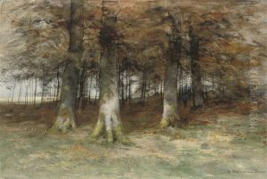 A Walk In The Woods by Maria Philippina Bilders-Van Bosse