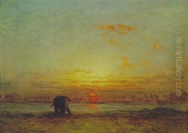 Elefant Am Flusufer - view 1