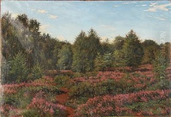 Landscape With Heather And Birch Trees - view 1