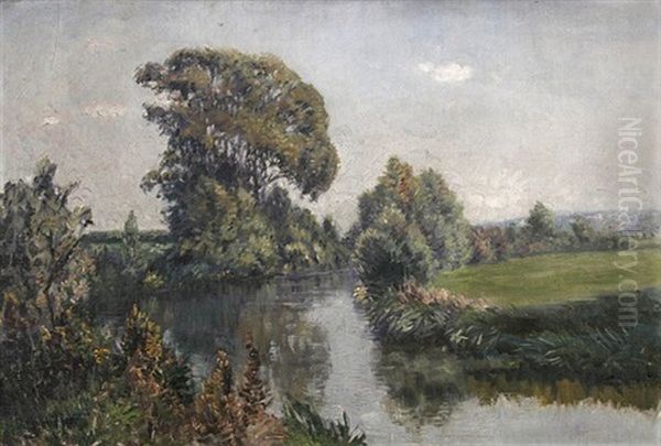 Fluslandschaft - view 1