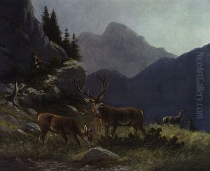 Hirsch Und Hirschkuh Im Hintergrund Ein Jager