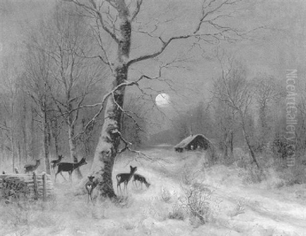 Rehe Im Nachtlichen Winterwald - view 1
