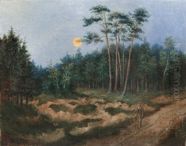Weg Von Loschwitz Nach Rochwitz - view 1