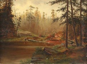 Skogparti Ved Tjern by Morten Mueller