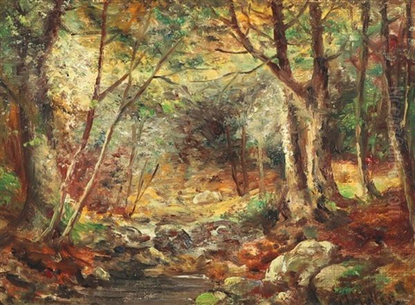 A Forest Scenery With A Stream - view 1