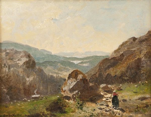 Fjellandskap Med Budeie - view 1