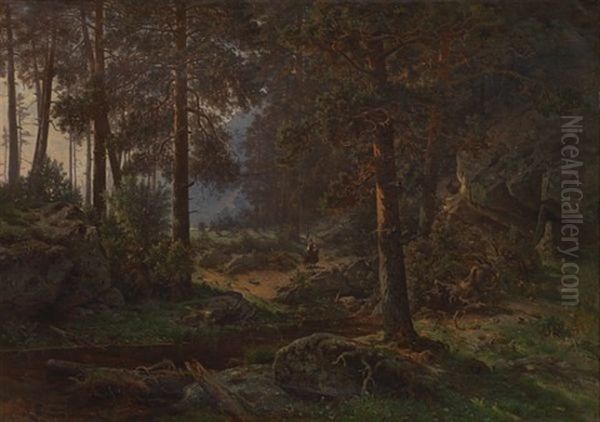 Lysning I Skogen - view 1