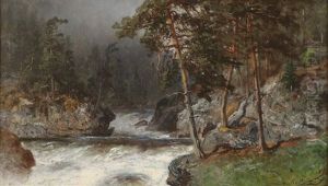 Skogslandskap Skogslandskap