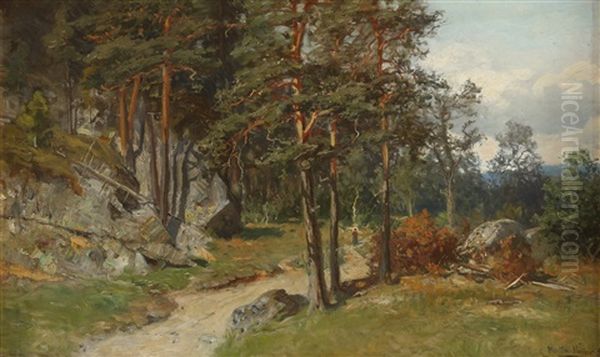 Nordmarken - view 1