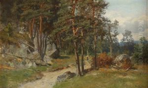 Nordmarken by Morten Mueller