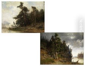 Waldpartie In Norwegen (+ Motiv Aus Norwegen, Pair) by Morten Mueller