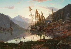 Rev Ved Stille Skogsvann