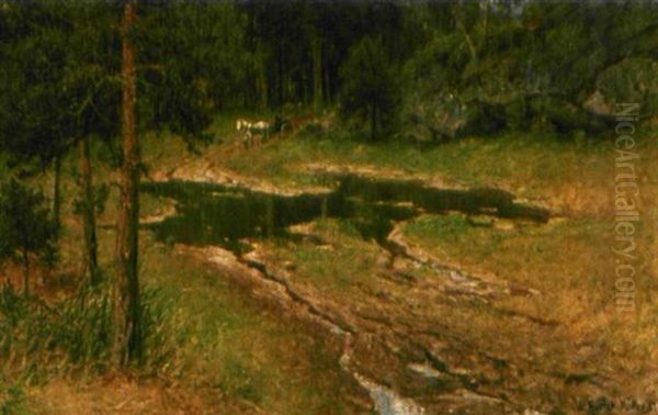 Pa Tur Gjennom Skogen - view 1