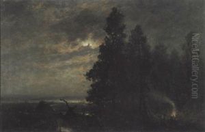 Landskap I Maneskinn Med Bal I Skogen
