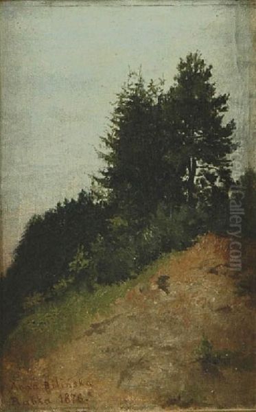 Zbocze Pagorka Z Dwiema Sosnami - view 1