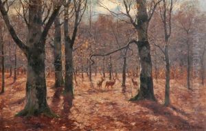 Der Herbstliche Wald Mit Rehen by Peter Paul Mueller