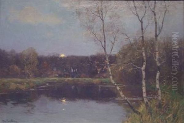Herbstabend An Einem Waldteich - view 1
