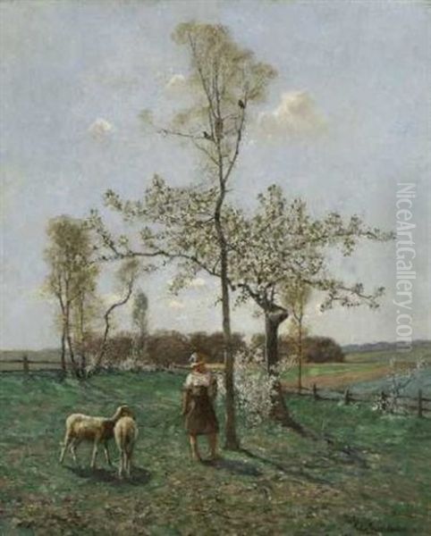 Junge Hirtin Mit Schafen In Fruhlingslandschaft - view 1