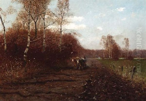 Bauer Mit Ochsengespann Auf Dem Feld - view 1