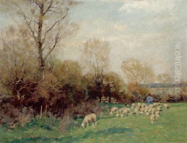 Ein Hirte Mit Seinen Schafen In Einer Sommerlandschaft - view 1