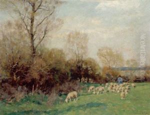 Ein Hirte Mit Seinen Schafen In Einer Sommerlandschaft