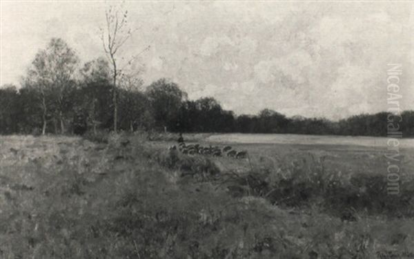 Schafer Mit Seiner Herde In Fruhherbstlicher Landschaft - view 1